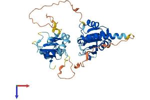 AlphaFold protein structure predicition of Human Recombinant DUSP9 Protein, UniprotID Q99956