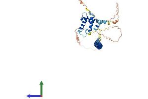 AlphaFold protein structure predicition of Human Recombinant NAIF1 Protein, UniprotID Q69YI7