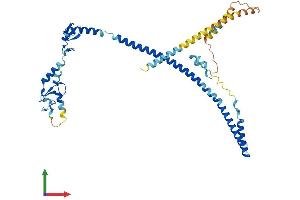 AlphaFold protein structure predicition of Human Recombinant TRIM13 Protein, UniprotID O60858