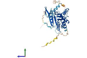 AlphaFold protein structure predicition of Human Recombinant SEPTIN3 Protein, UniprotID Q9UH03