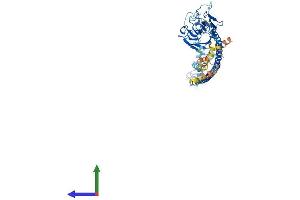 AlphaFold protein structure predicition of Human Recombinant TRIM39 Protein, UniprotID Q9HCM9