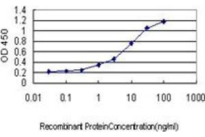 Detection limit for recombinant GST tagged ZBTB33 is approximately 0. (ZBTB33 anticorps  (AA 564-673))