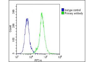 Overlay histogram showing A549 cells stained with (ABIN1537480 and ABIN2848885)(green line).