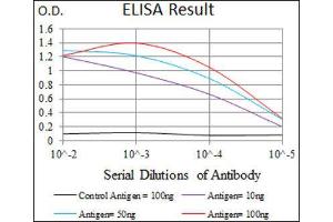 ELISA image for anti-Kruppel-Like Factor 1 (erythroid) (KLF1) (AA 208-362) antibody (ABIN1845960)
