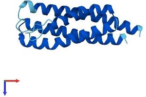 AlphaFold protein structure predicition of Human Recombinant CNIH4 Protein, UniprotID Q9P003