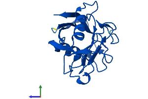AlphaFold protein structure predicition of Human Recombinant PPIAL4G Protein, UniprotID P0DN37
