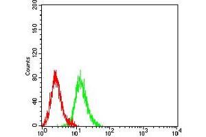 Flow cytometric analysis of K562 cells using ADAP1 mouse mAb (green) and negative control (red).