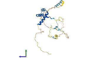 AlphaFold protein structure predicition of Mouse Recombinant Hoxb4 Protein, UniprotID P10284