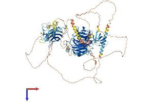 AlphaFold protein structure predicition of Mouse Recombinant Ahi1 Protein, UniprotID Q8K3E5