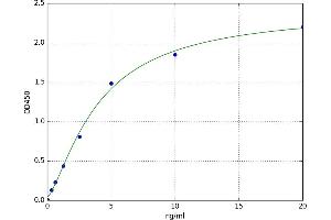 Synuclein, gamma (Breast Cancer-Specific Protein 1) (SNCG) ELISA Kit