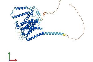 AlphaFold protein structure predicition of Mouse Recombinant Ptdss2 Protein, UniprotID Q9Z1X2