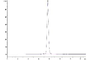 The purity of Mouse NKG2D is greater than 95 % as determined by SEC-HPLC.