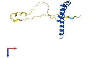 AlphaFold protein structure predicition of Mouse Recombinant Cdk2ap1 Protein, UniprotID O35207
