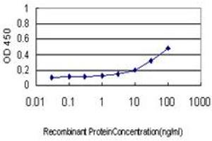 Detection limit for recombinant GST tagged DAZ1 is approximately 1ng/ml as a capture antibody. (DAZ1 anticorps  (AA 21-120))