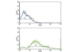 Flow cytometric analysis of SK-Br-3 cells using PDGFR beta antibody (bottom histogram) compared to a negative control (top histogram).