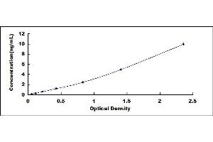 Typical standard curve (MLKL Kit ELISA)