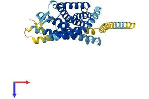 AlphaFold protein structure predicition of Human Recombinant GPR65 Protein, UniprotID Q8IYL9