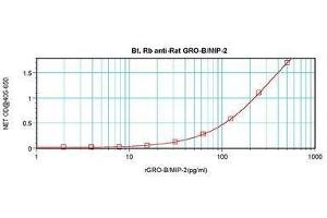 anti-Chemokine (C-X-C Motif) Ligand 2 (CXCL2) antibody (Biotin)