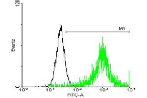 FACS analysis of negative control 293 cells (Black) and ATP1B3 expressing 293 cells (Green) using ATP1B3 purified MaxPab mouse polyclonal antibody. (ATP1B3 anticorps  (AA 1-279))