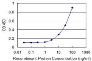 Detection limit for recombinant GST tagged ZFYVE16 is 1 ng/ml as a capture antibody. (ZFYVE16 anticorps  (AA 1-100))