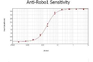 ELISA results of purified Rabbit anti-Robo-1 Antibody tested against BSA-conjugated peptide of immunizing peptide.