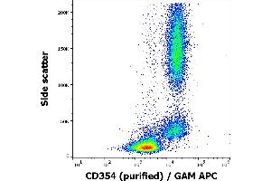 Flow cytometry surface staining pattern of human peripheral whole blood stained using anti-human CD354 (6B1) purified antibody (concentration in sample 1,67 μg/mL, GAM APC). (TREM1 anticorps)