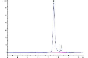 The purity of Cynomolgus PLAU is greater than 95 % as determined by SEC-HPLC.