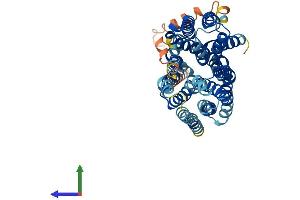 AlphaFold protein structure predicition of Mouse Recombinant Slc43a3 Protein, UniprotID A2AVZ9