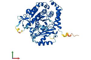 AlphaFold protein structure predicition of Mouse Recombinant Tuba8 Protein, UniprotID Q9JJZ2