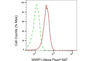 Flow cytometric analysis of WWP1 expression in HepG2 cells using WWP1 antibody (ABIN7800870), 1:2,000).