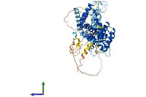AlphaFold protein structure predicition of Mouse Recombinant Taf1b Protein, UniprotID P97358