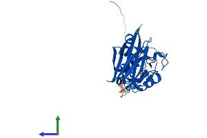 AlphaFold protein structure predicition of Mouse Recombinant Siah1a Protein, UniprotID P61092