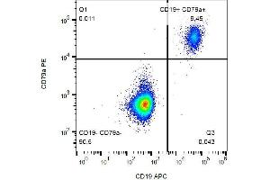Intracellular staining of CD79a in human peripheral blood with anti-CD79a (HM57) FITC.