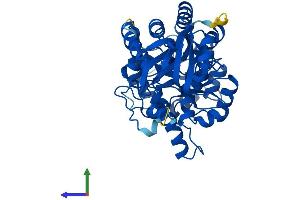 AlphaFold protein structure predicition of Mouse Recombinant Gda Protein, UniprotID Q9R111
