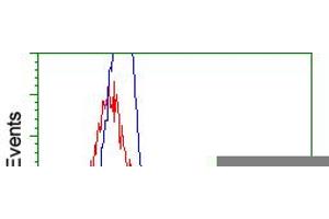 HEK293T cells transfected with either pCMV6-ENTRY RNF144B (RC209302) (Red) or empty vector control plasmid (Blue) were immunostained with anti-RNF144B mouse monoclonal (ABIN2453610), and then analyzed by flow cytometry. (RNF144B anticorps  (AA 1-256))