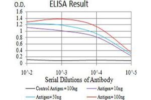 Black line: Control Antigen (100 ng),Purple line: Antigen (10 ng), Blue line: Antigen (50 ng), Red line:Antigen (100 ng)