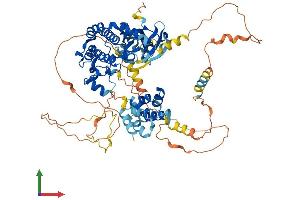 AlphaFold protein structure predicition of Mouse Recombinant Ripk1 Protein, UniprotID Q60855