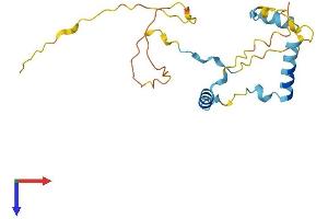AlphaFold protein structure predicition of Human Recombinant MEA1 Protein, UniprotID Q16626
