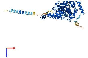 tyrosylprotein Sulfotransferase 2 (TPST2) (AA 1-376) protein (His tag)