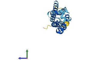 AlphaFold protein structure predicition of Human Recombinant TSPAN31 Protein, UniprotID Q12999