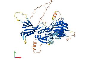 AlphaFold protein structure predicition of Human Recombinant CERKL Protein, UniprotID Q49MI3
