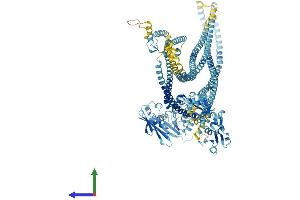 AlphaFold protein structure predicition of Human Recombinant SMC1A Protein, UniprotID Q14683