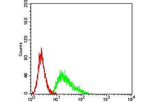 Flow cytometric analysis of Ramos cells using CD137 mouse mAb (green) and negative control (red).