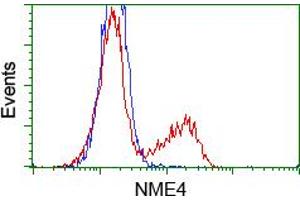 Flow Cytometry (FACS) image for anti-NME/NM23 Nucleoside Diphosphate Kinase 4 (NME4) antibody (ABIN1499778) (NME4 anticorps)