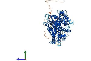 AlphaFold protein structure predicition of Human Recombinant ALG9 Protein, UniprotID Q9H6U8