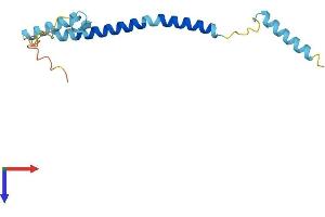 AlphaFold protein structure predicition of Human Recombinant FAM107A Protein, UniprotID O95990