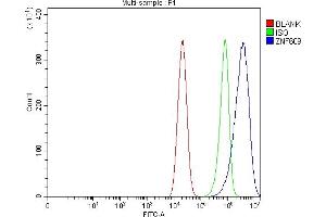 Flow Cytometry analysis of Caco-2 cells using anti-ZNF609 antibody (ABIN7599751). (ZNF609 anticorps  (AA 1122-1411))