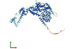 AlphaFold protein structure predicition of Mouse Recombinant Nelfb Protein, UniprotID Q8C4Y3