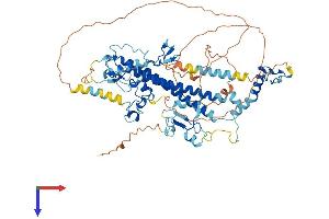 AlphaFold protein structure predicition of Mouse Recombinant Cxxc1 Protein, UniprotID Q9CWW7