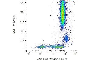 Flow cytometry analysis (surface staining) of human peripheral blood with anti-human CD31 (MEM-05) biotin / Streptavidin APC.